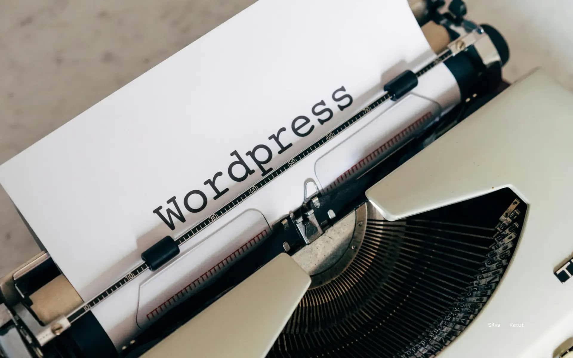 Image on the Digital Vantage website