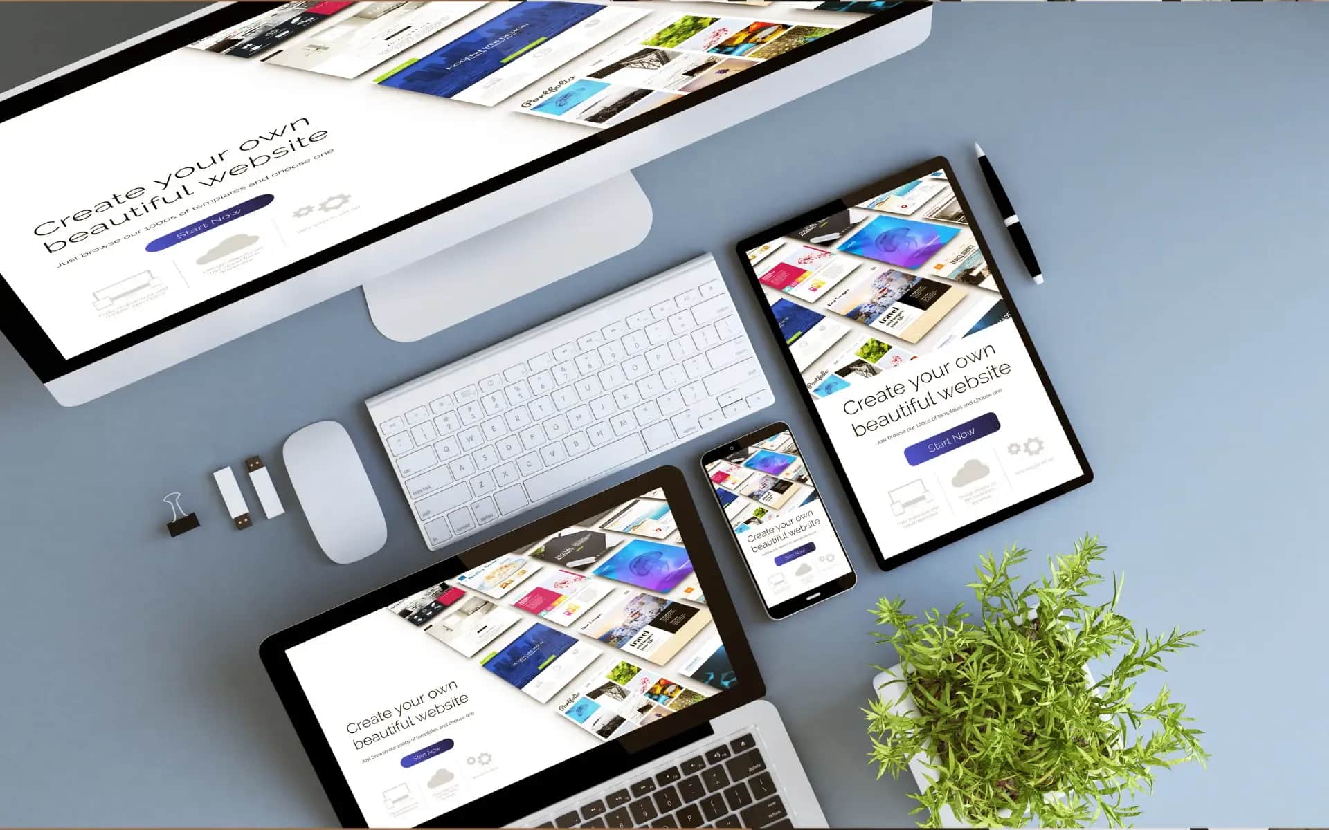 Image on the Digital Vantage website